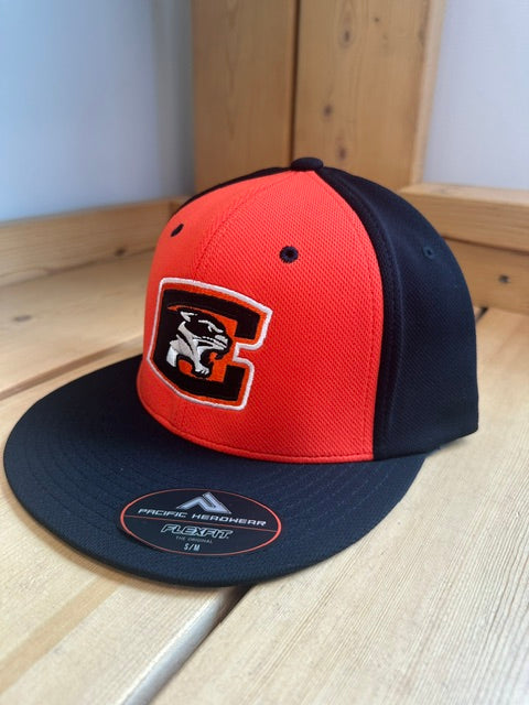 Casquette brodée ES342-Cougars