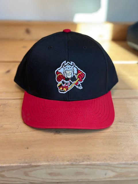 Casquette vintage brodée Macareux Casquette vintage brodée Macareux